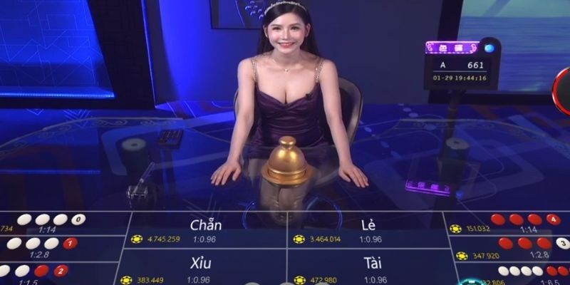 Giấy Phép Hoạt Động TK88 - Cam Kết Vận Hành Minh Bạch Tiêu chí để nhận giấy phép hoạt động TK88